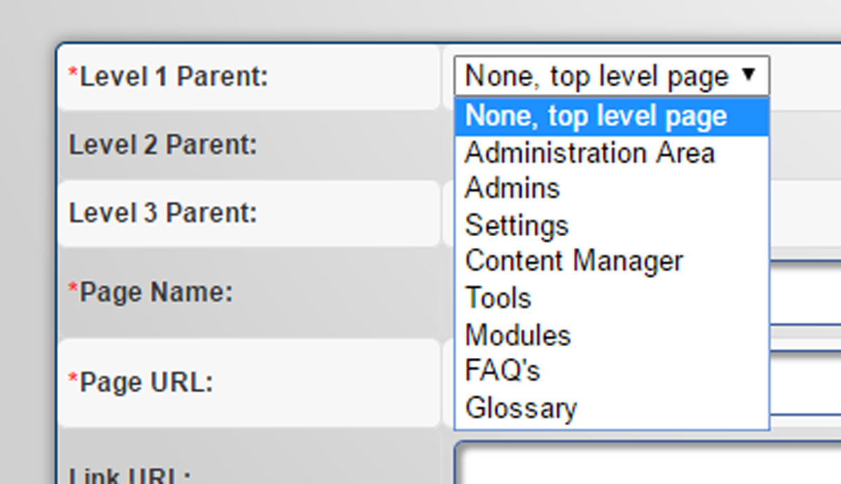 Close up of Level 1 Parent Section on the Content Manager Add Page