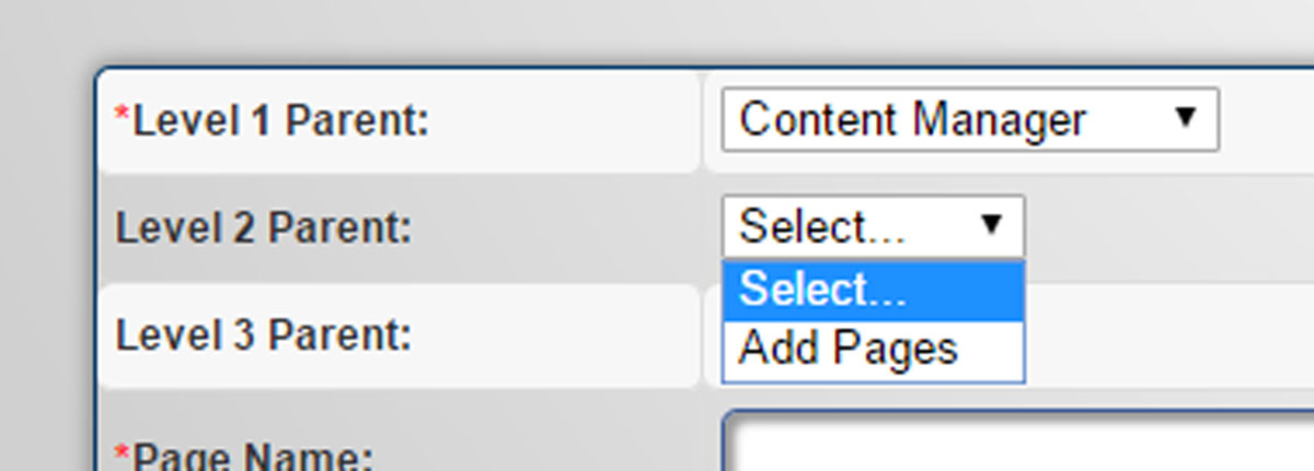 Close up of Level 2 Parent Section on the Content Manager Add Page