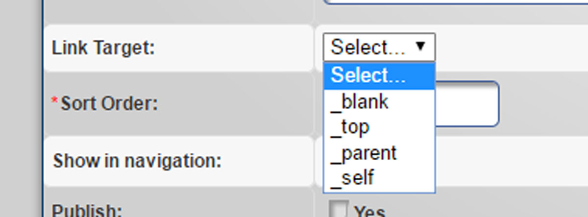 Close up of the Link Target drop down menu