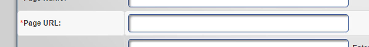 Close up of Page URL section on the Content Manager Add Page