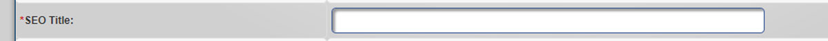 PageFramer - News - Add Post- Add SEO Title Field
